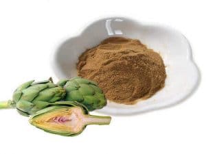 Artichoke Extract