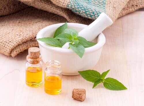 7 Types of Plant Extract commonly use