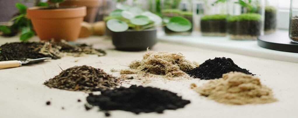 Different types of herbal extract and function